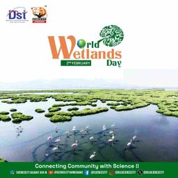 World Wetland Day