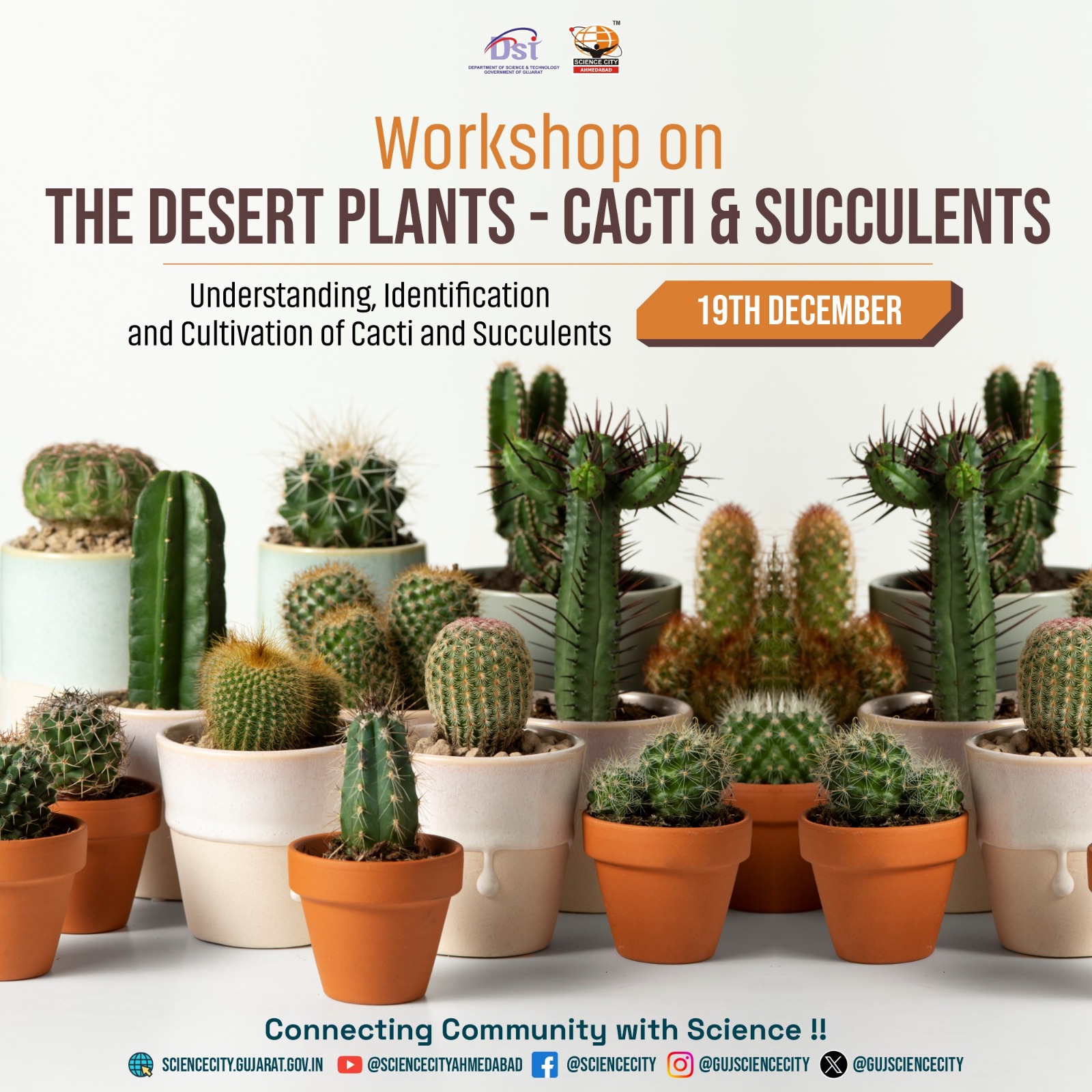 Cactus Workshop