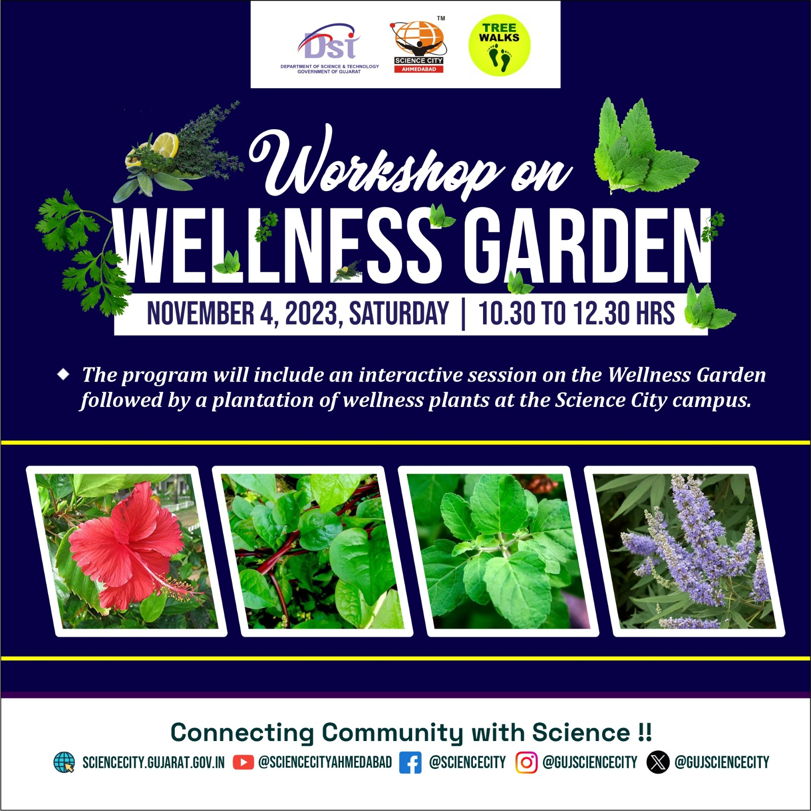 Wellness Garden Workshop