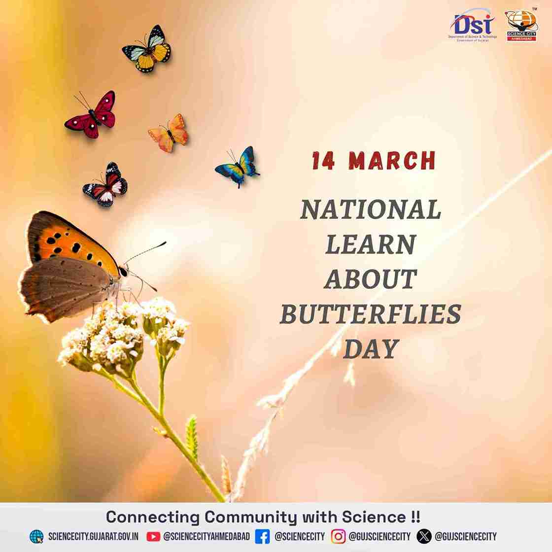 National Learn about Butterflies Day
